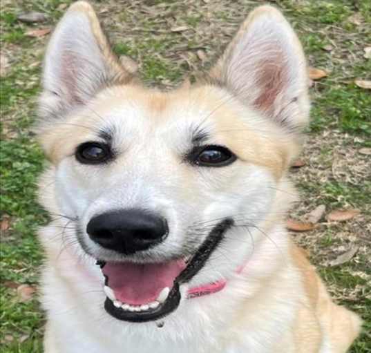 Photo of CHEESECAKE
