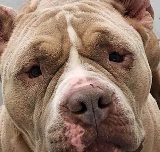 Photo of Rudy