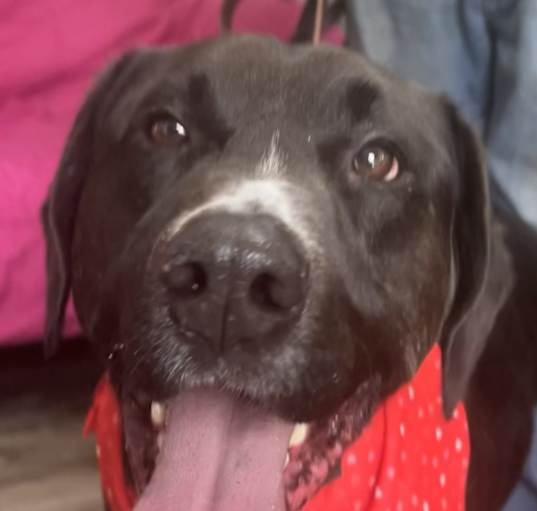 Photo of Thor