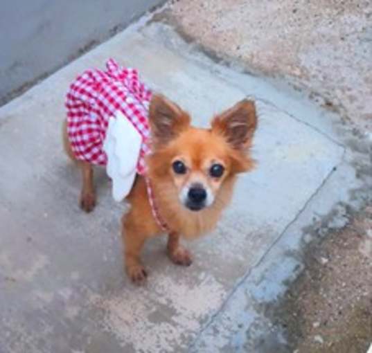 Photo of FRIDA MARIE