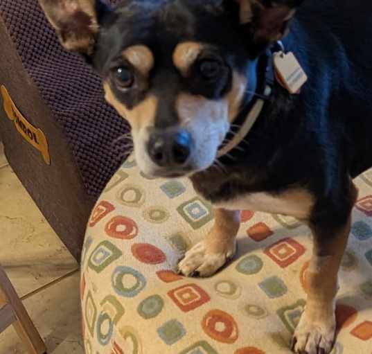 Photo of Immie