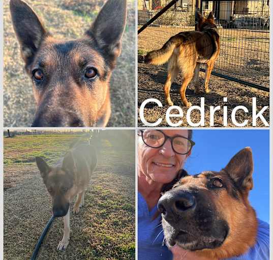 Photo of Cedrick