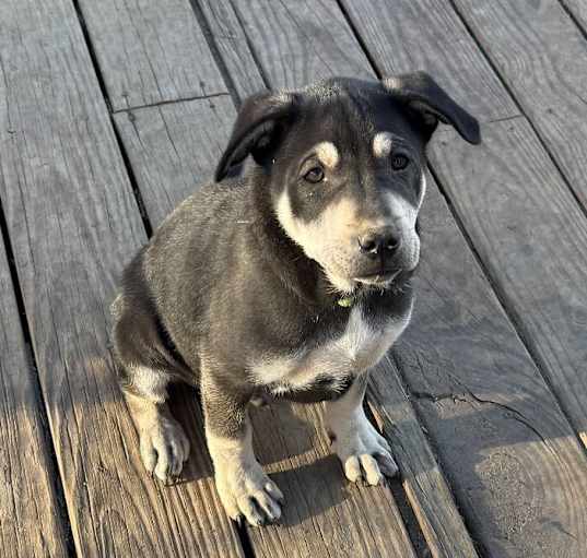 Photo of Benny