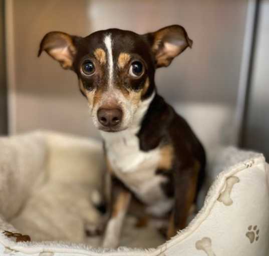 Photo of Ella IN FOSTER