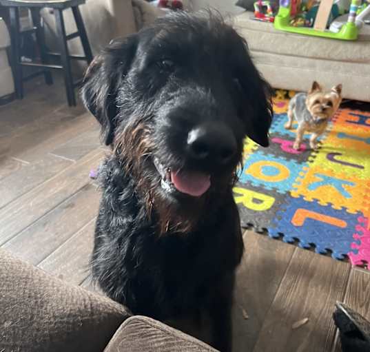 Photo of Rookie