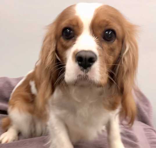 Photo of Sally