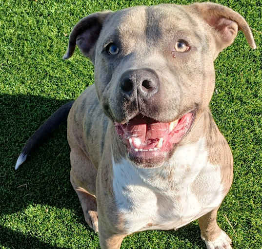 Photo of CANE