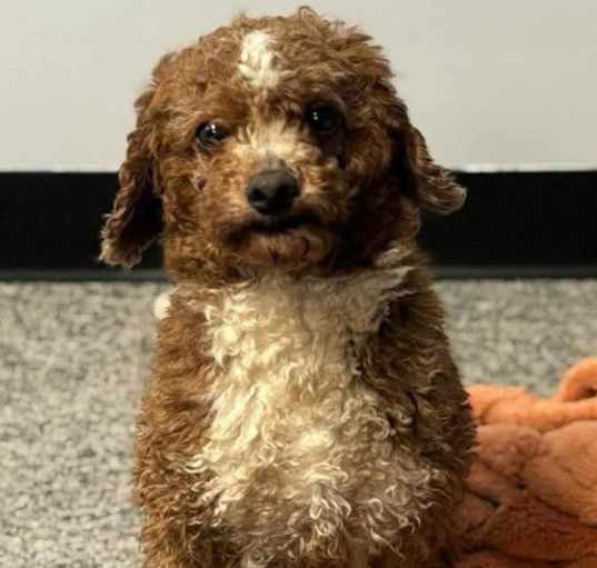 Photo of Rudy