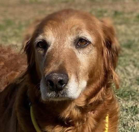 Photo of Merry Goldie Jan 25