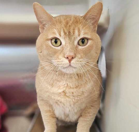Photo of Buster