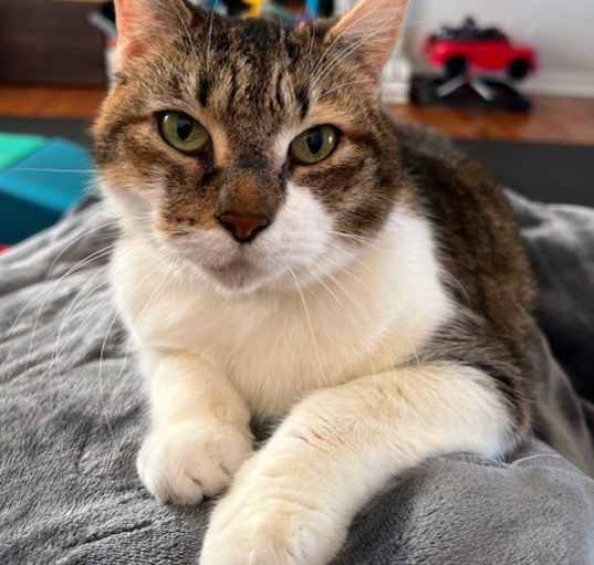 Photo of Ruby