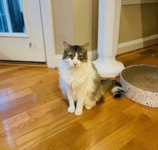 Photo of Silas