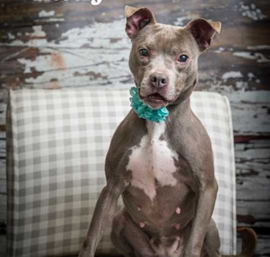Photo of Lady