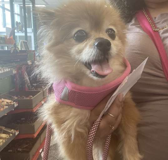 Photo of snooky