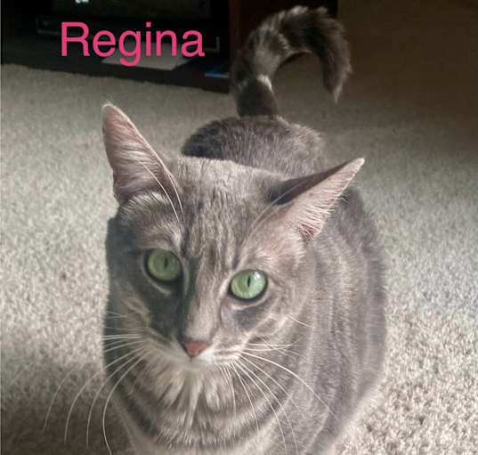 Photo of Regina