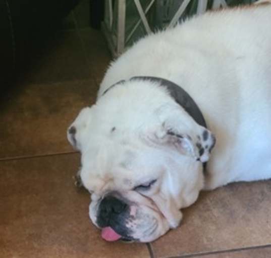 Photo of Biggie