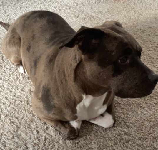 Photo of Mya