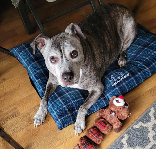 Photo of Jessie