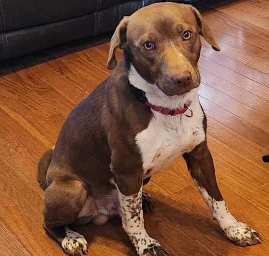 Photo of BUCK