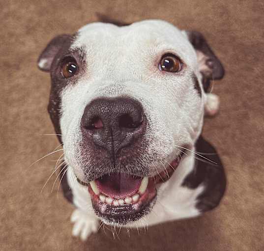 Photo of Libby