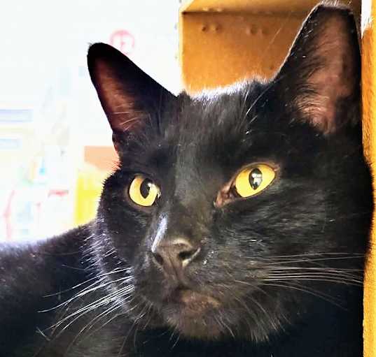 Photo of Booker