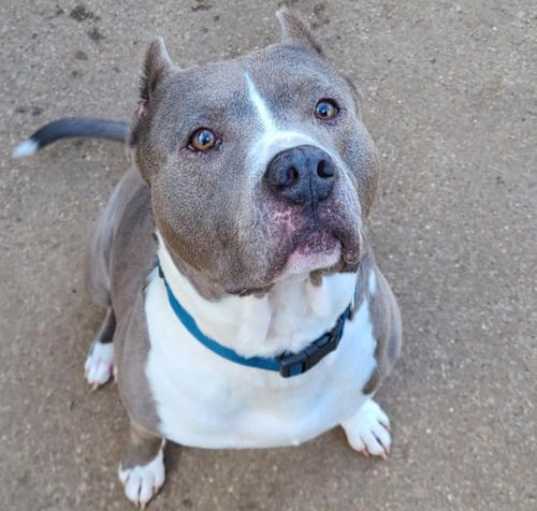 Photo of Blue