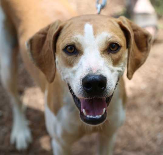 Photo of Ellie Mae