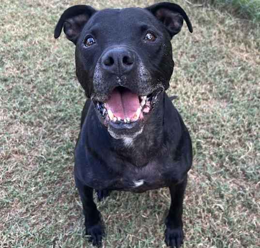 Photo of Ember