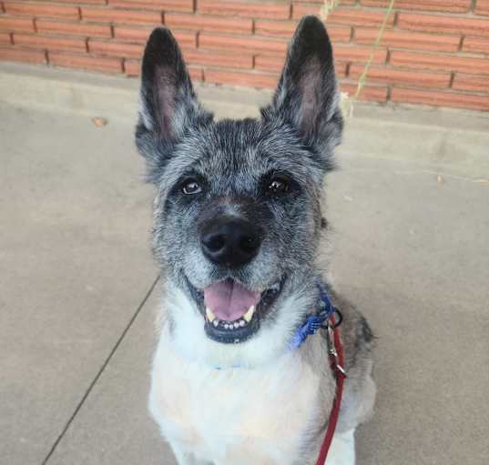 Photo of Maisy