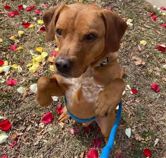 Photo of Charlie