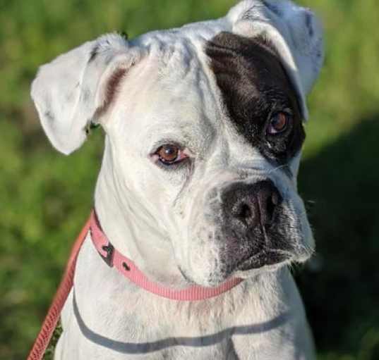 Photo of Ella
