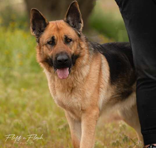 Photo of Tula