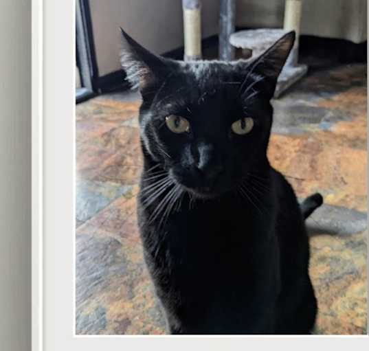 Photo of Clyde