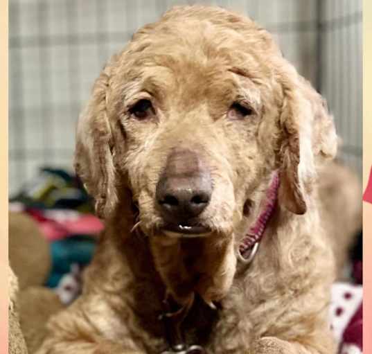 Photo of Beverly