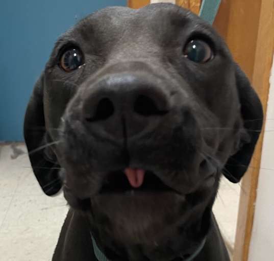Photo of Baby