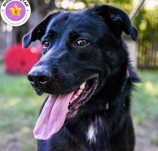 Photo of Duke