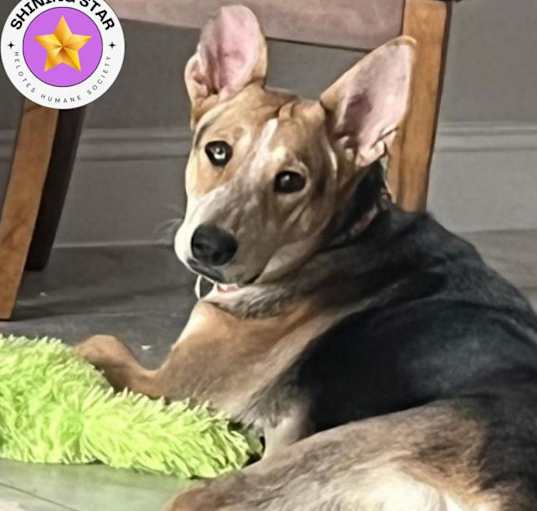 Photo of Ellie