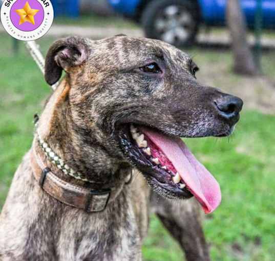 Photo of Cora