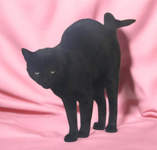 Photo of Elvira