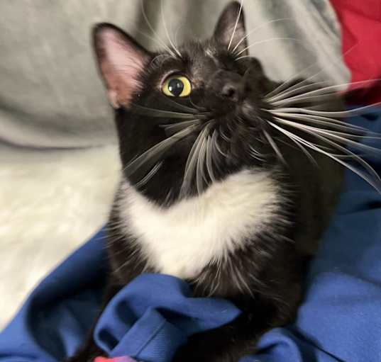 Photo of Boots