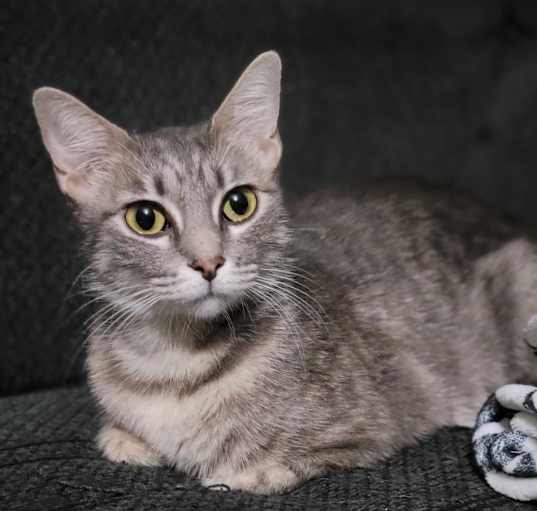 Photo of Ellie