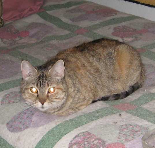 Photo of Olympia