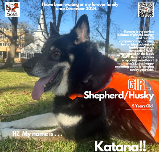 Photo of Katana