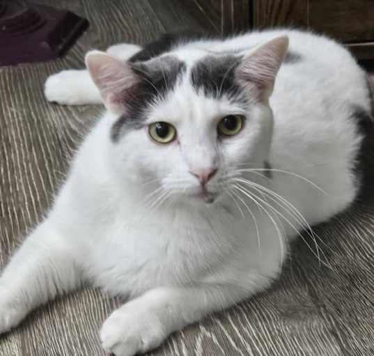 Photo of Twix