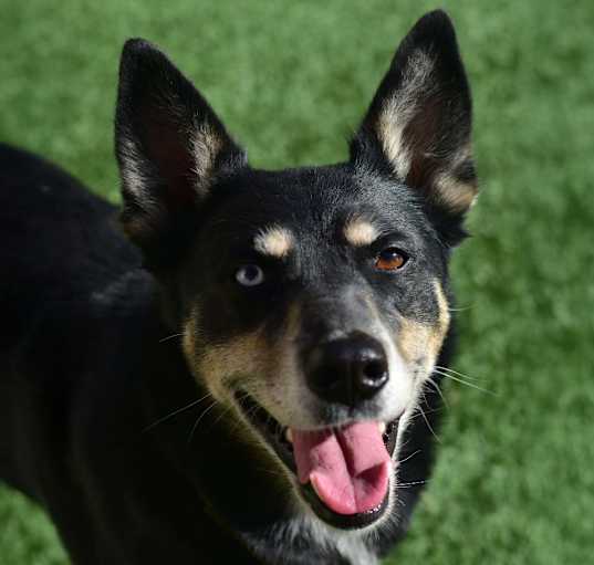 Photo of Lexi