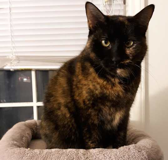 Photo of Tia