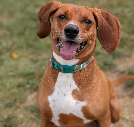 Photo of Waylen