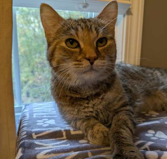 Photo of Chloe