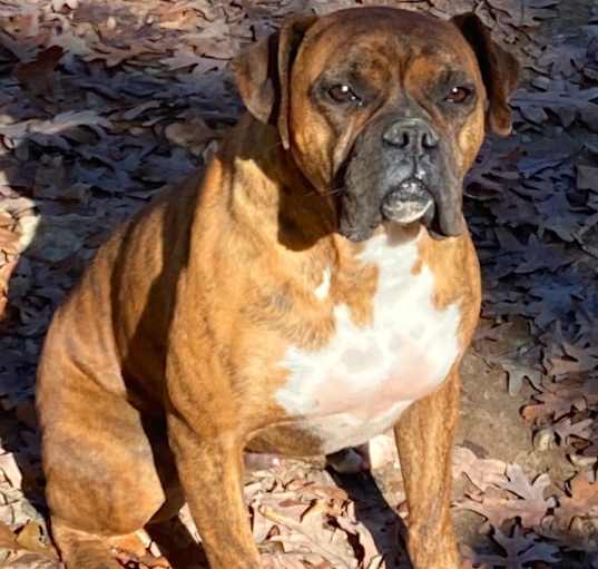 Photo of Hugo