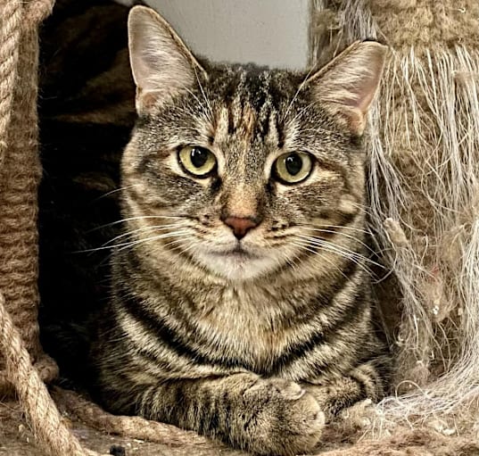 Photo of Gary